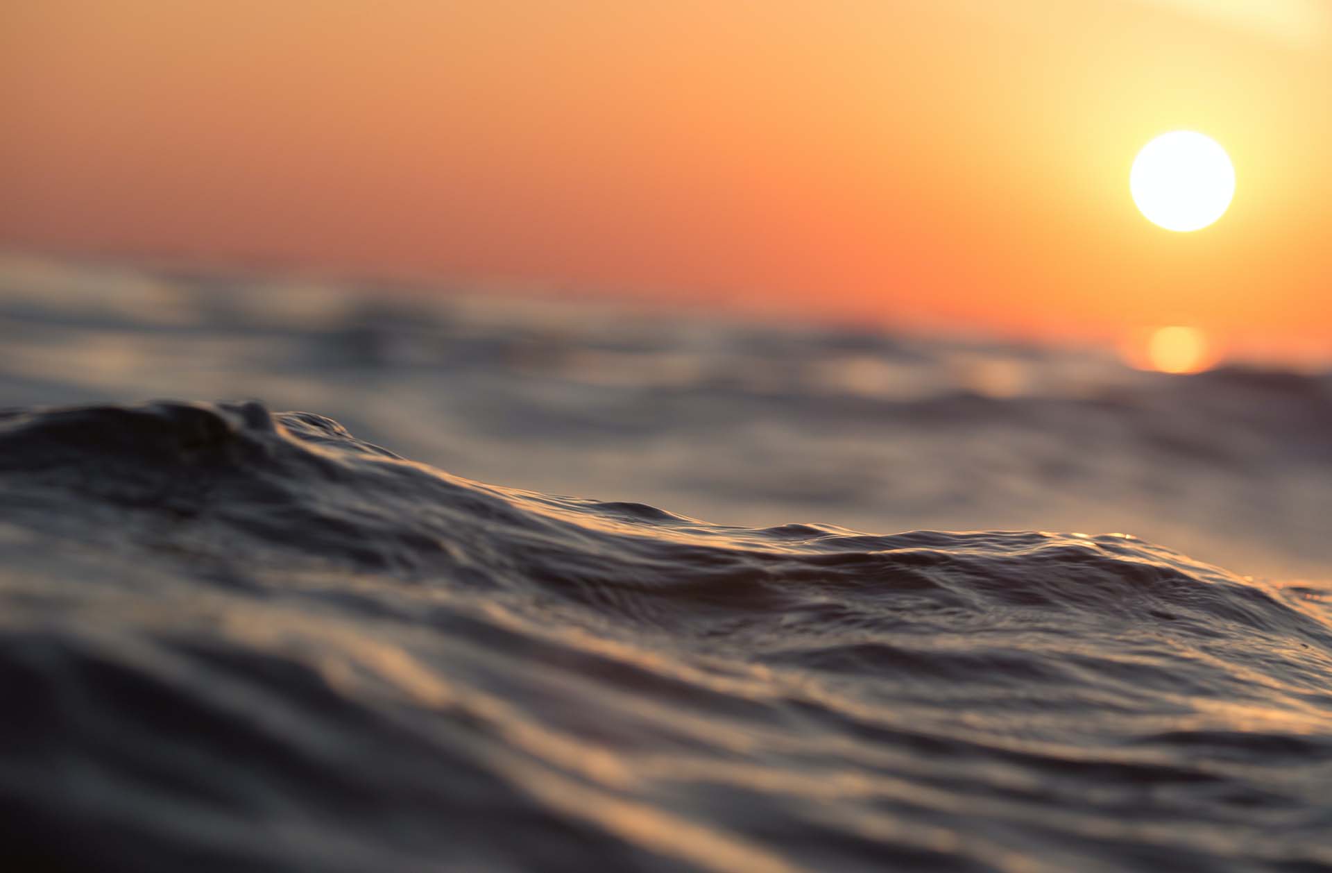 De stip op de horizon, of turen in de mist?